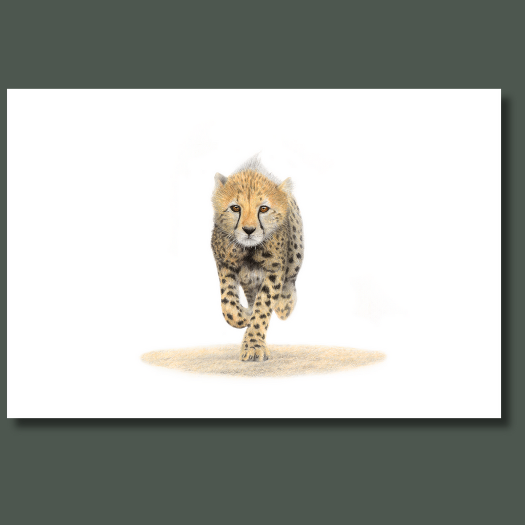 Running Cheetah cub on canvas wildlife art print