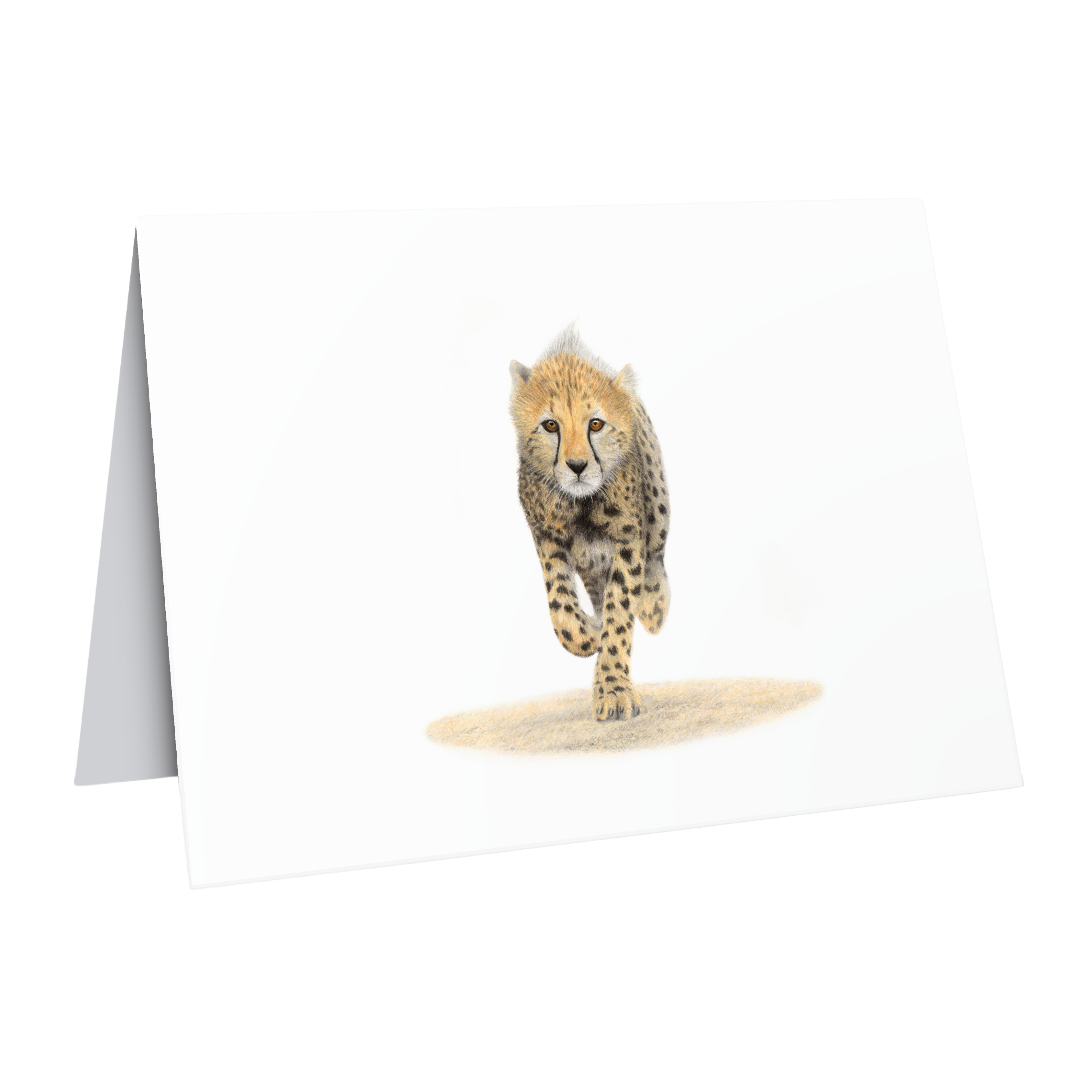 Cheetah Cub greeting card