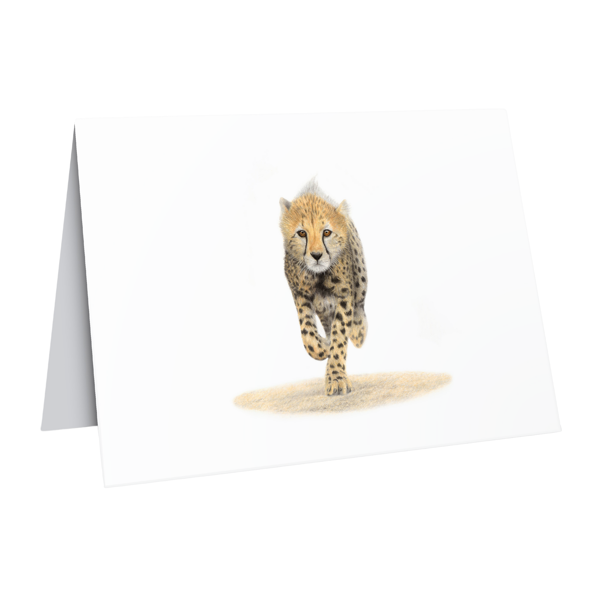 Cheetah Cub greeting card