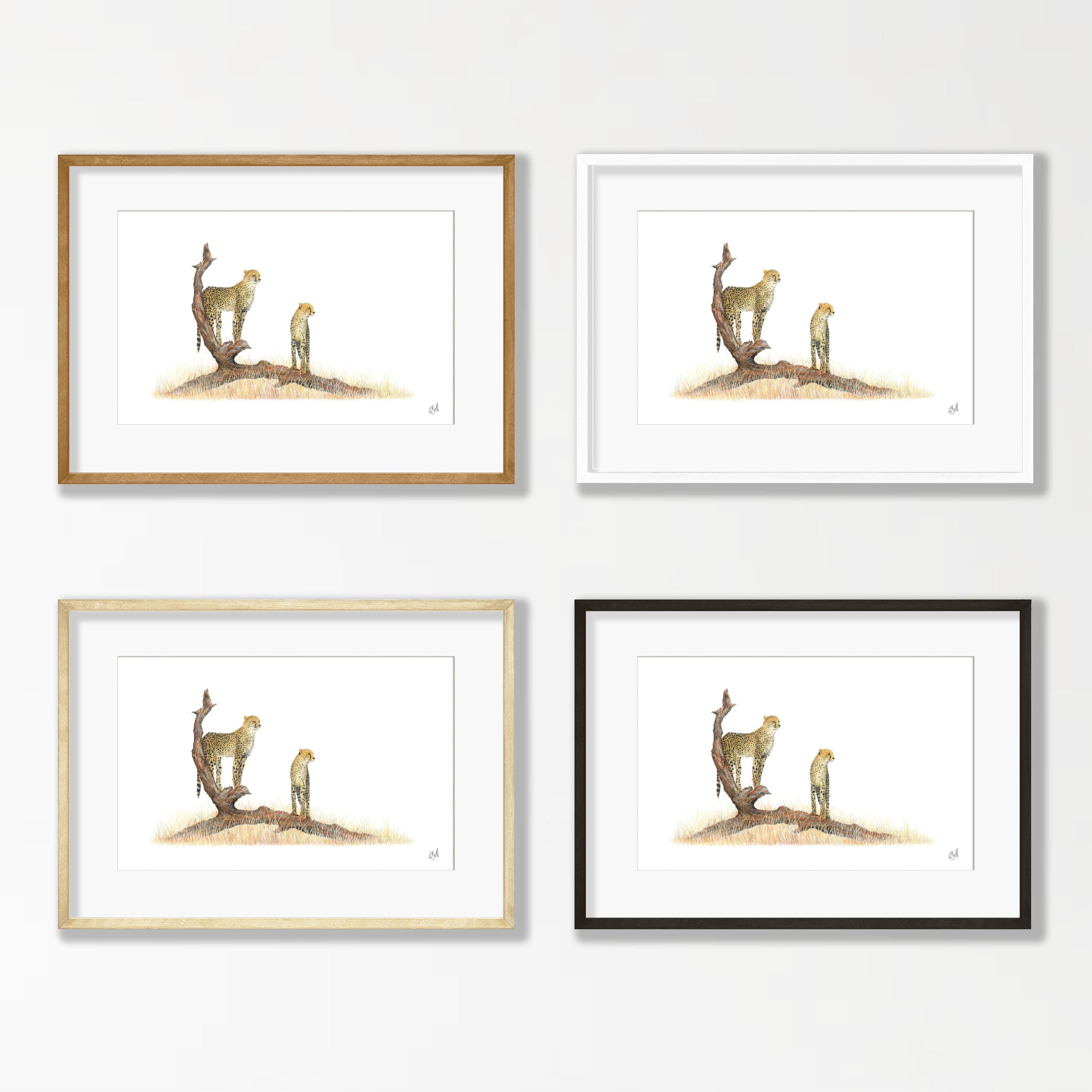 Cheetah Pair - CHT6