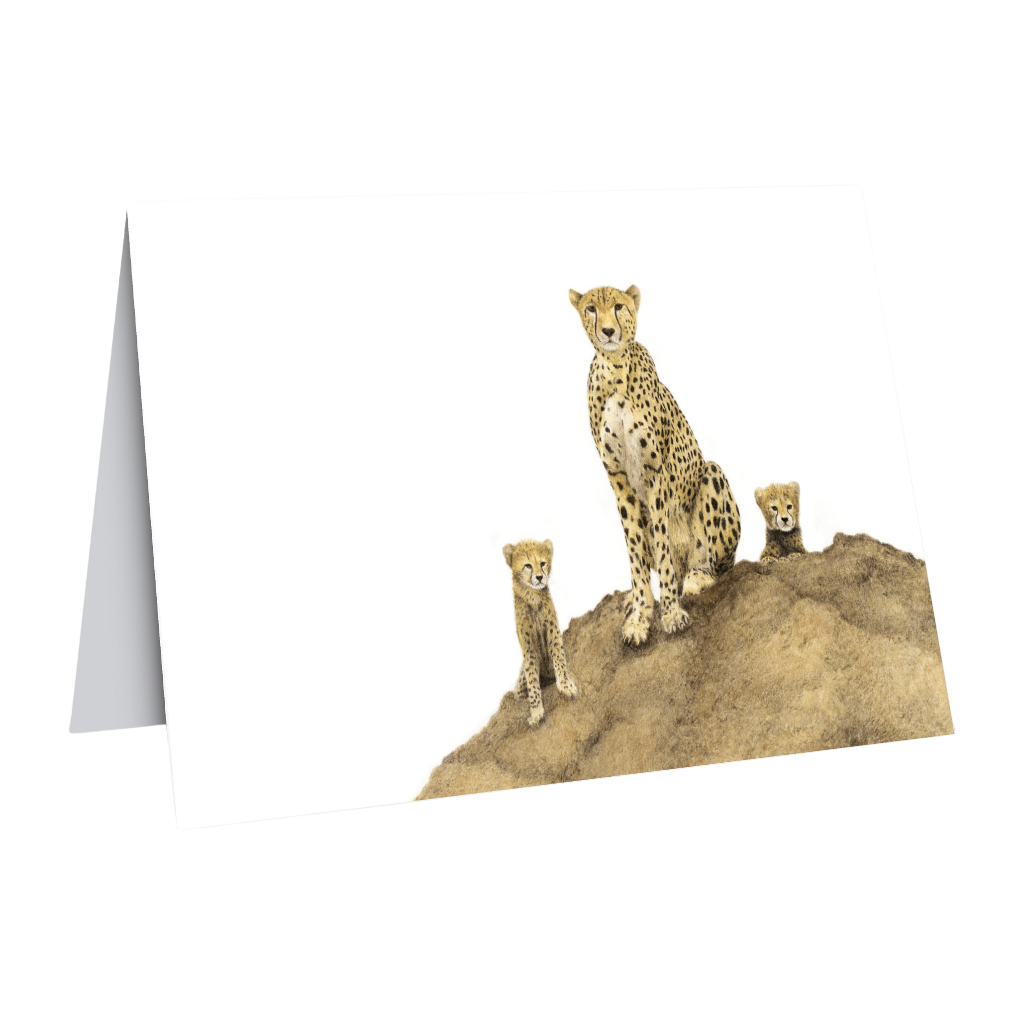 Cheetah Mother and Cubs greeting card