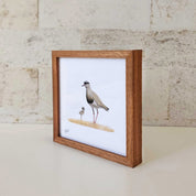 Kiaat wood framed miniature artwork of a Crowned Lapwing, part of wildlife artist Matthew Bell's birds of South Africa gallery