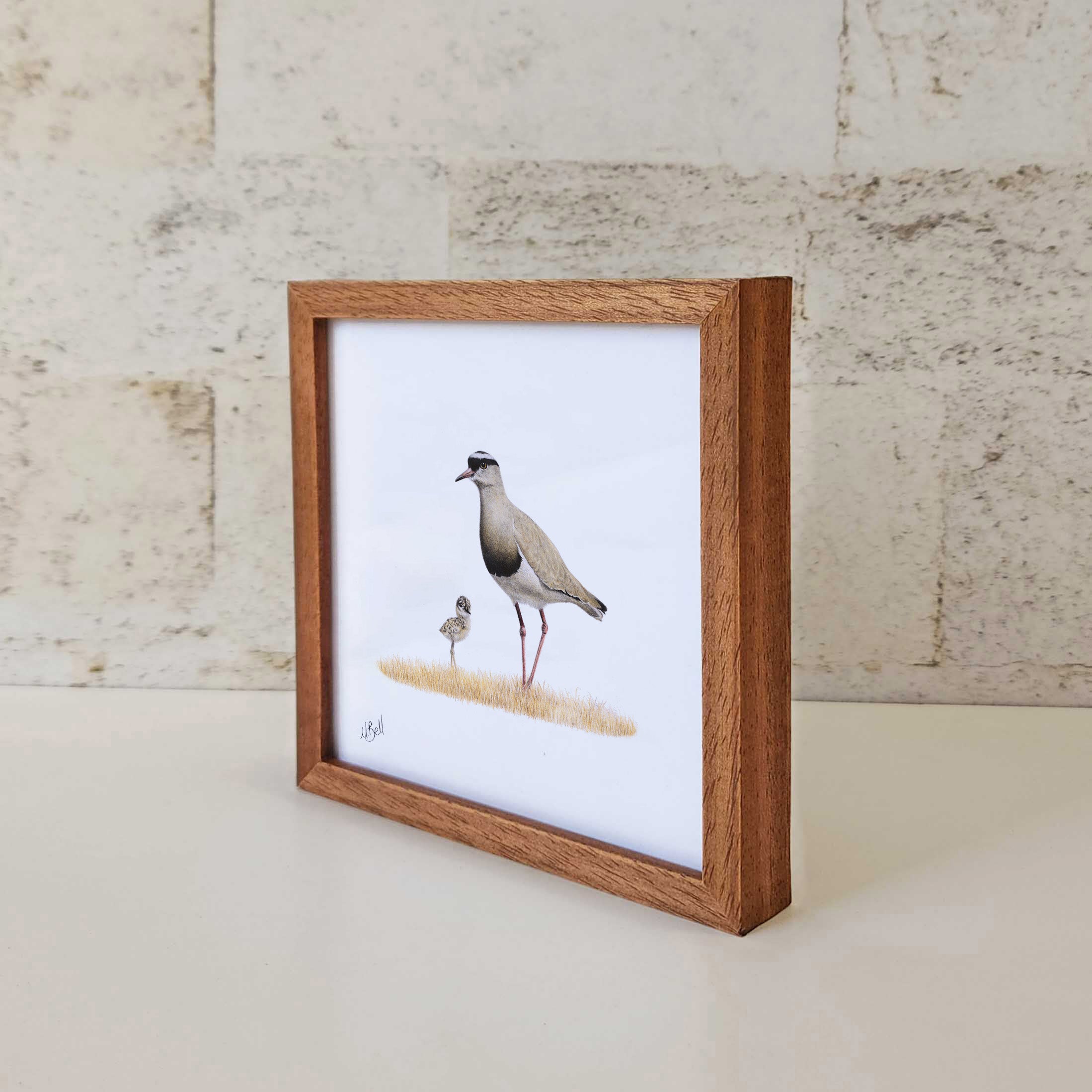 Kiaat wood framed miniature artwork of a Crowned Lapwing, part of wildlife artist Matthew Bell's birds of South Africa gallery