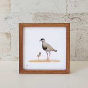 Kiaat wood framed miniature artwork of a Crowned Lapwing, part of wildlife artist Matthew Bell's birds of South Africa gallery