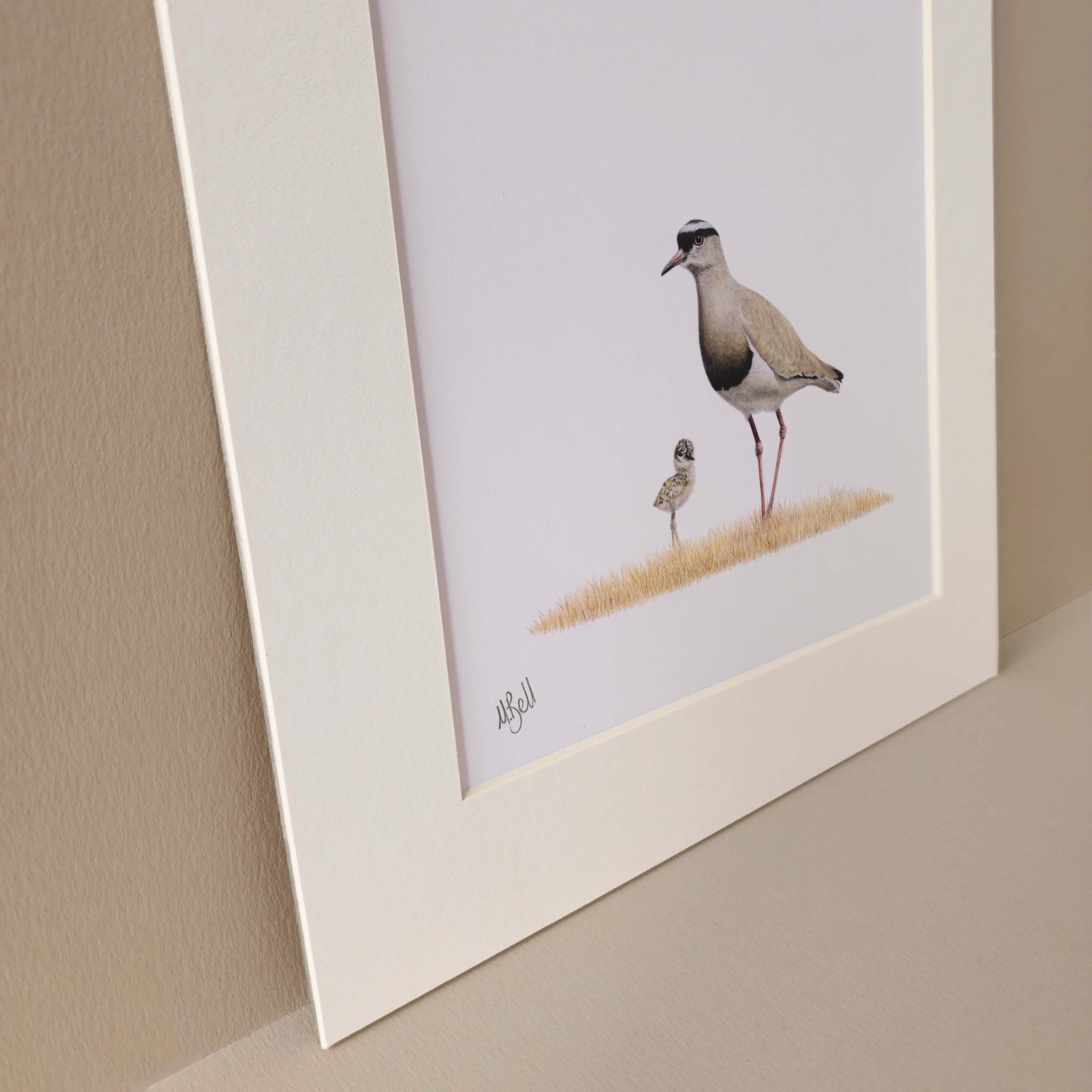 Crowned Lapwing mother and chick pencil artwork