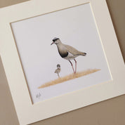 Crowned Lapwing mother and chick pencil artwork