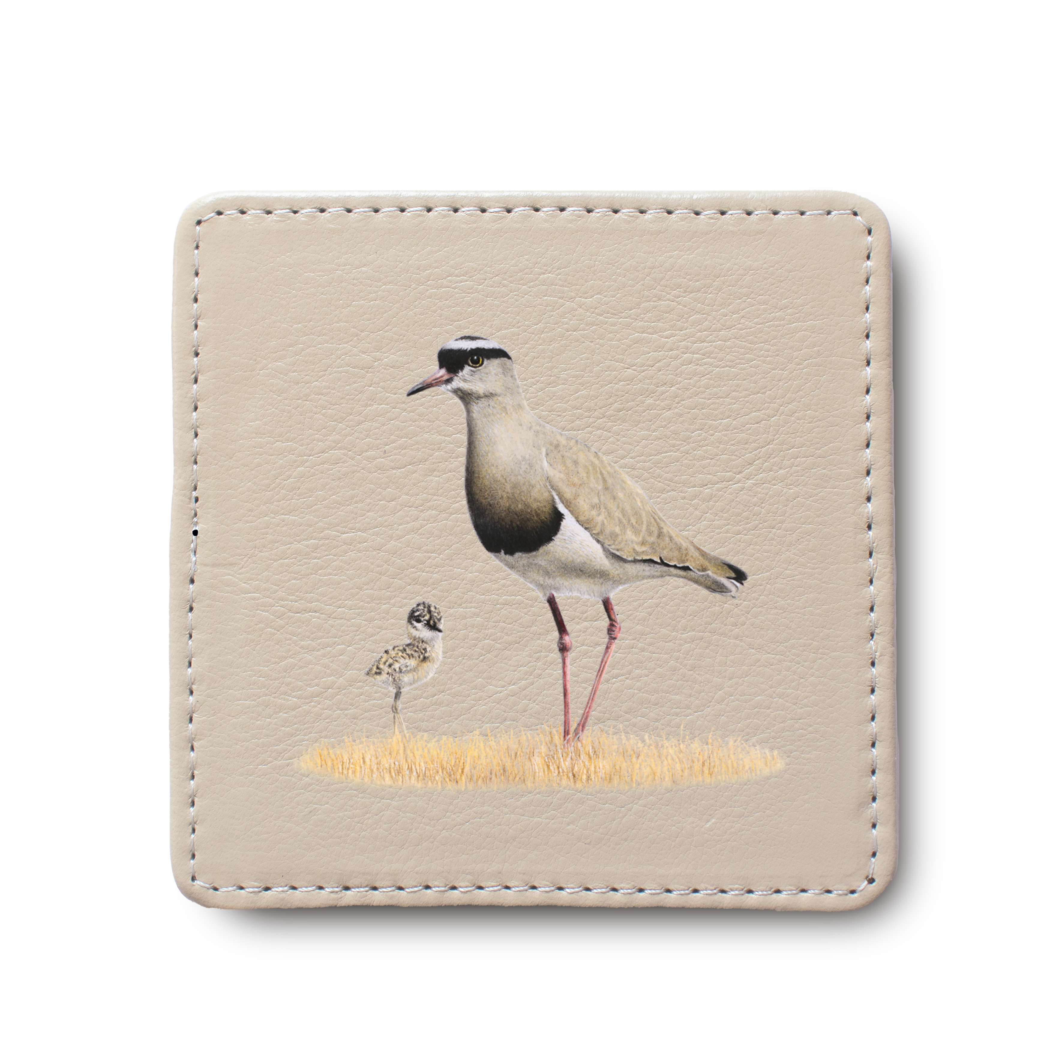 Crowned Lapwing Bird leather coaster by South African wildlife artist Matthew Bell