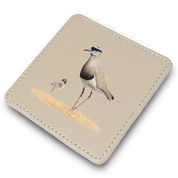 Crowned Lapwing Leather Coaster