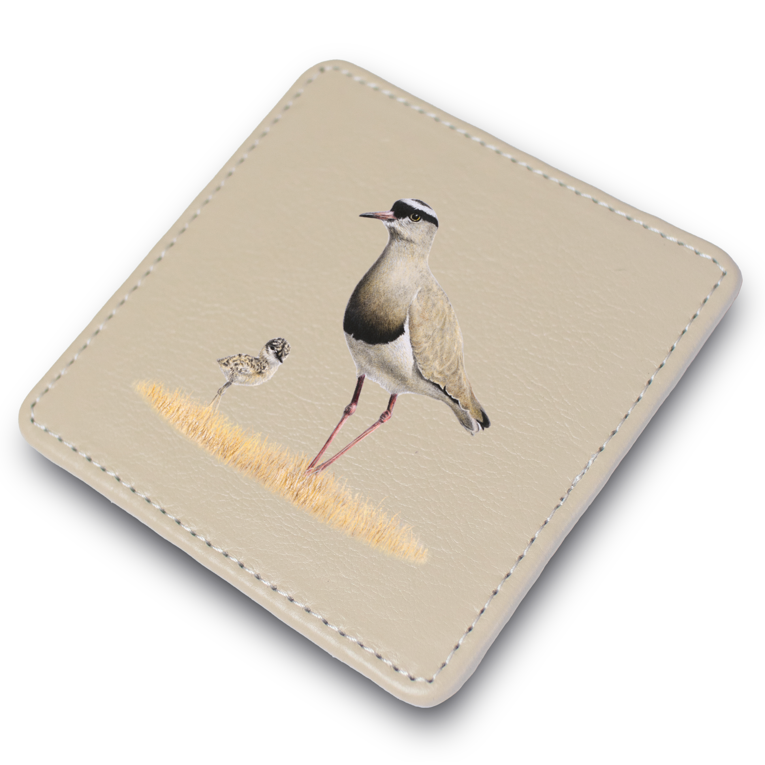 Crowned Lapwing Leather Coaster
