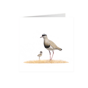 Crowned Lapwing Greeting Card - CLP