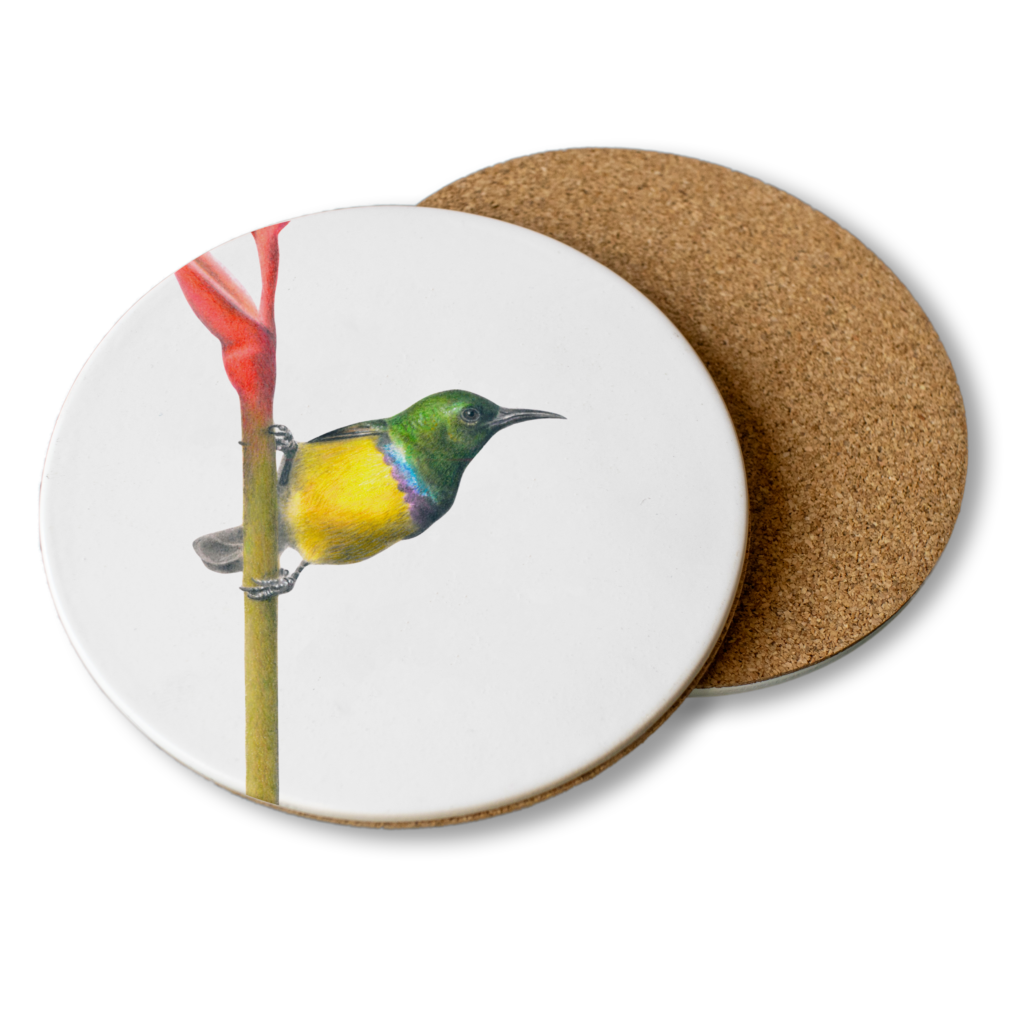 Collared Sunbird Wooden Coaster - CLSB