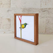 Kiaat wood framed miniature artwork of a Collared Sunbird, part of wildlife artist Matthew Bell's birds of South Africa gallery