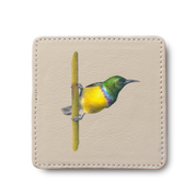 Collared Sunbird leather coaster by South African wildlife artist Matthew Bell