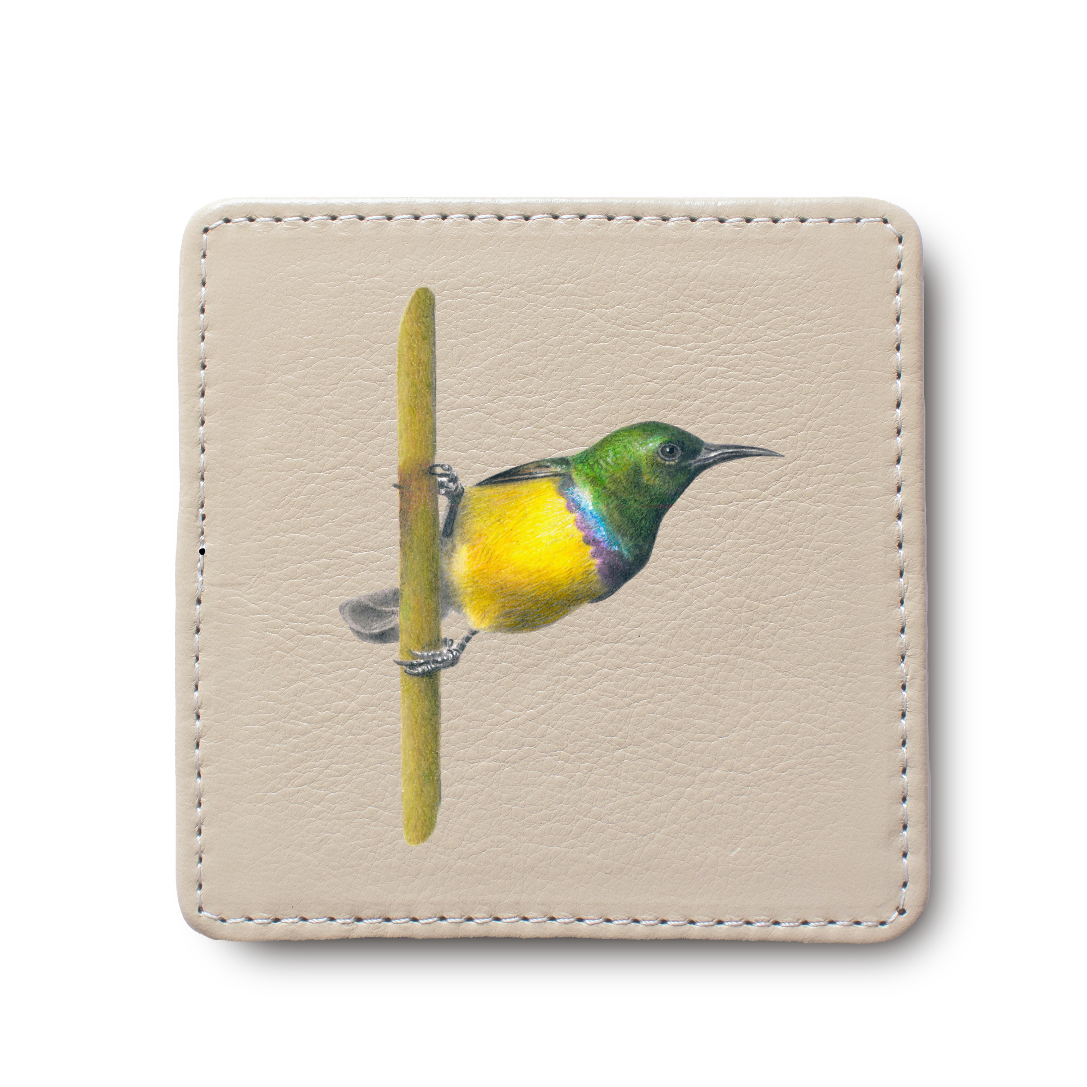 Collared Sunbird leather coaster by South African wildlife artist Matthew Bell