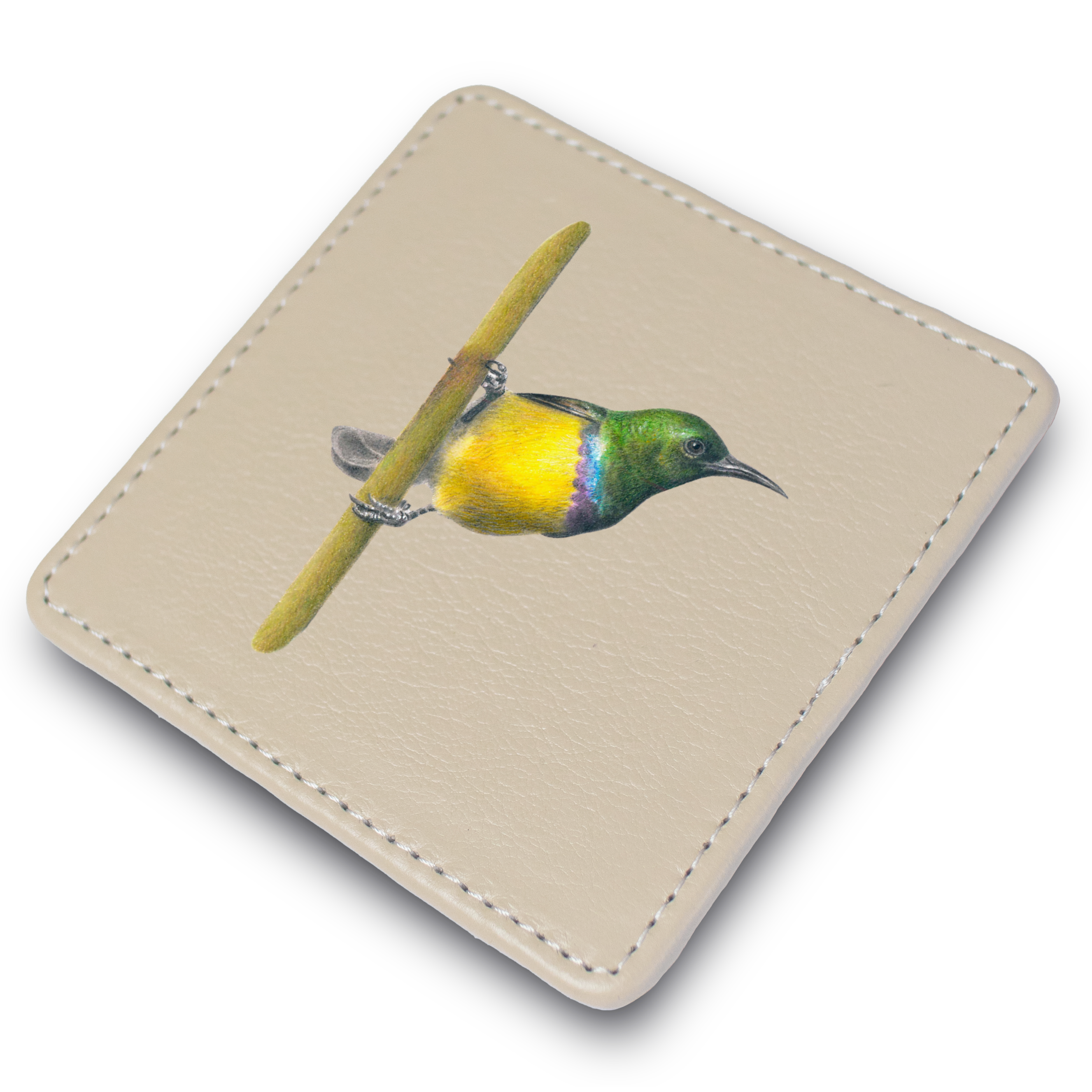 CLSB_2.png