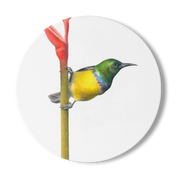 Collared Sunbird Wooden Coaster - CLSB