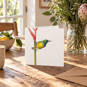 Collared Sunbird Greeting Card - CLSB