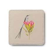 Cape Sugarbird leather coaster by South African wildlife artist Matthew Bell