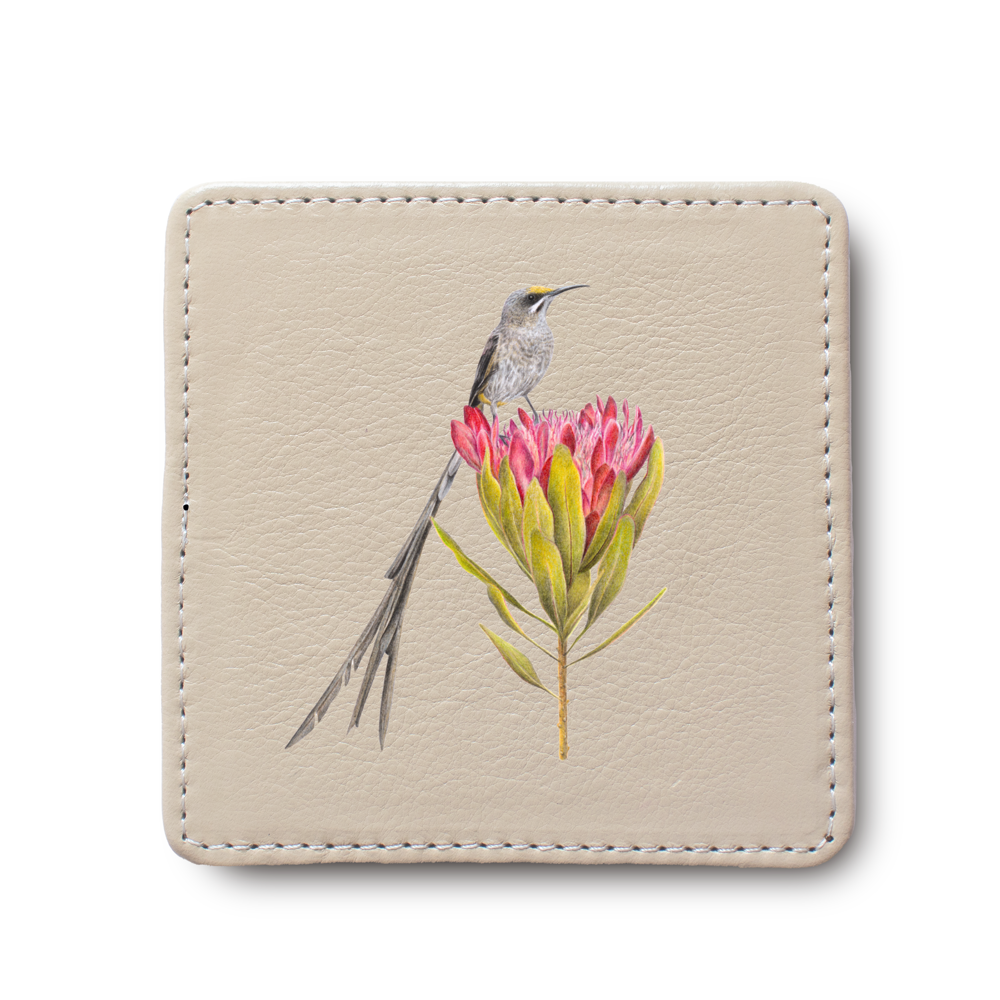 Cape Sugarbird leather coaster by South African wildlife artist Matthew Bell