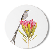 Cape Sugarbird Wooden Coaster - CPSB