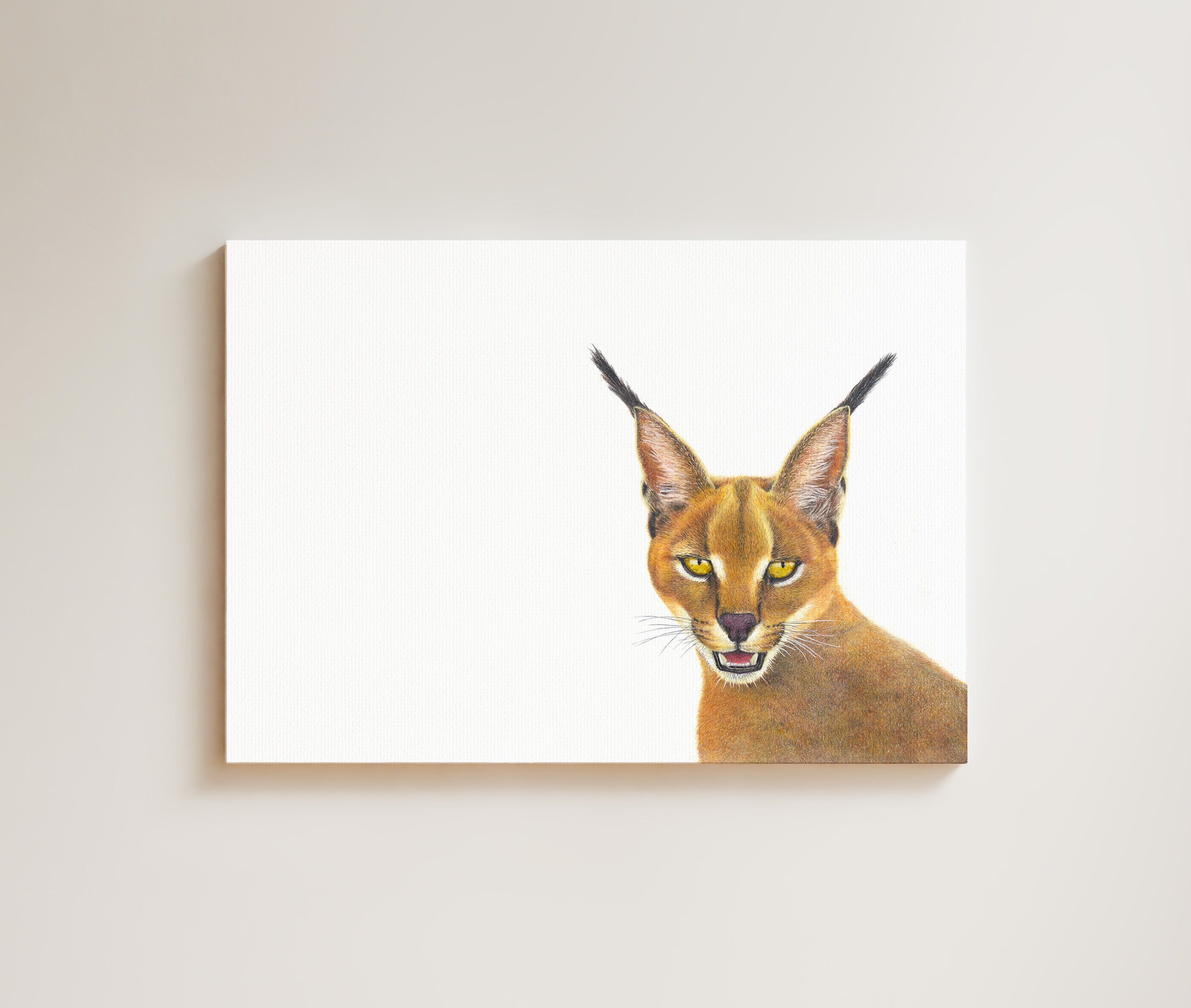 Caracal drawing on canvas by South African wildlife artist Matthew Bell