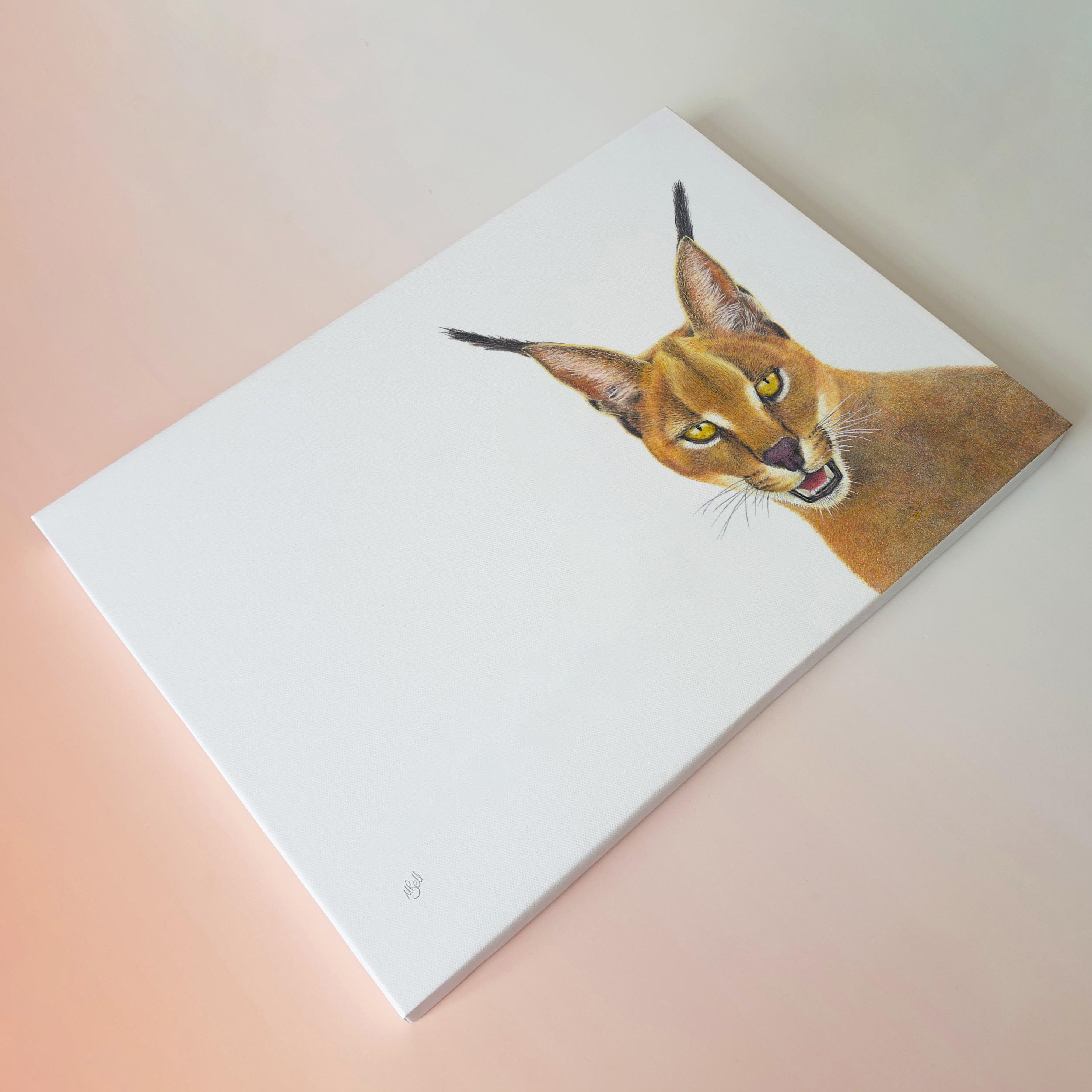 Caracal portrait on canvas wildlife art print