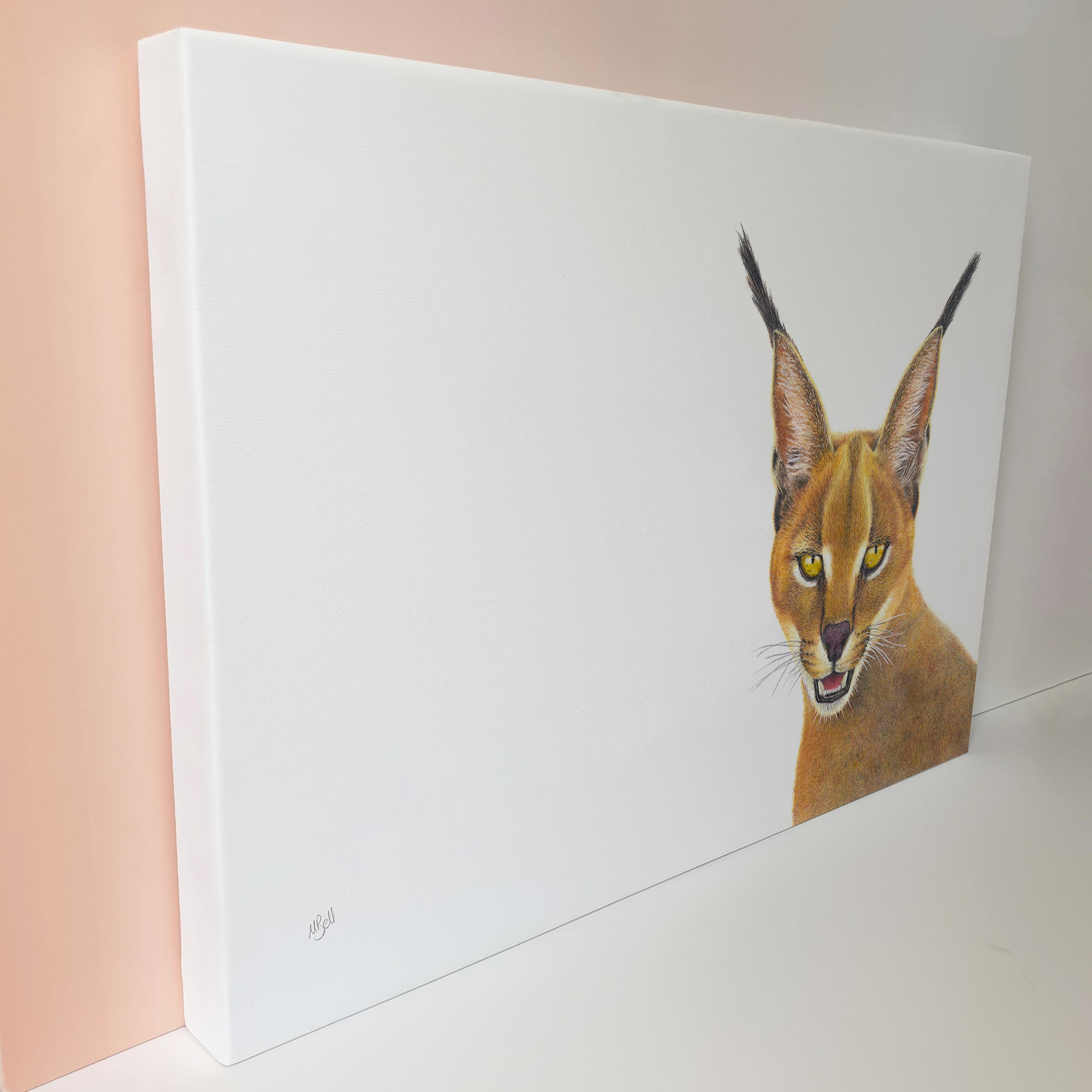 Caracal portrait on canvas wildlife art print