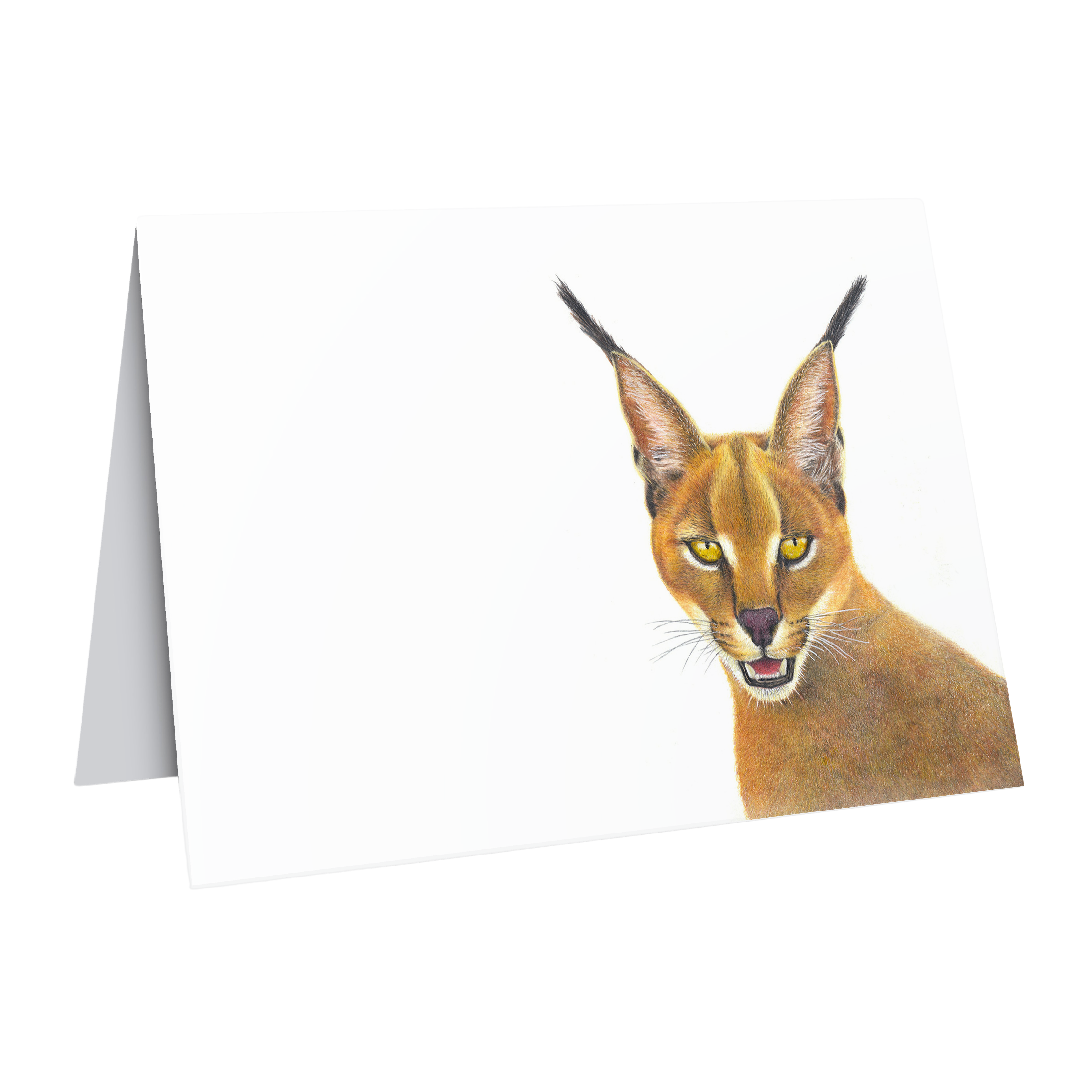 Caracal greeting card