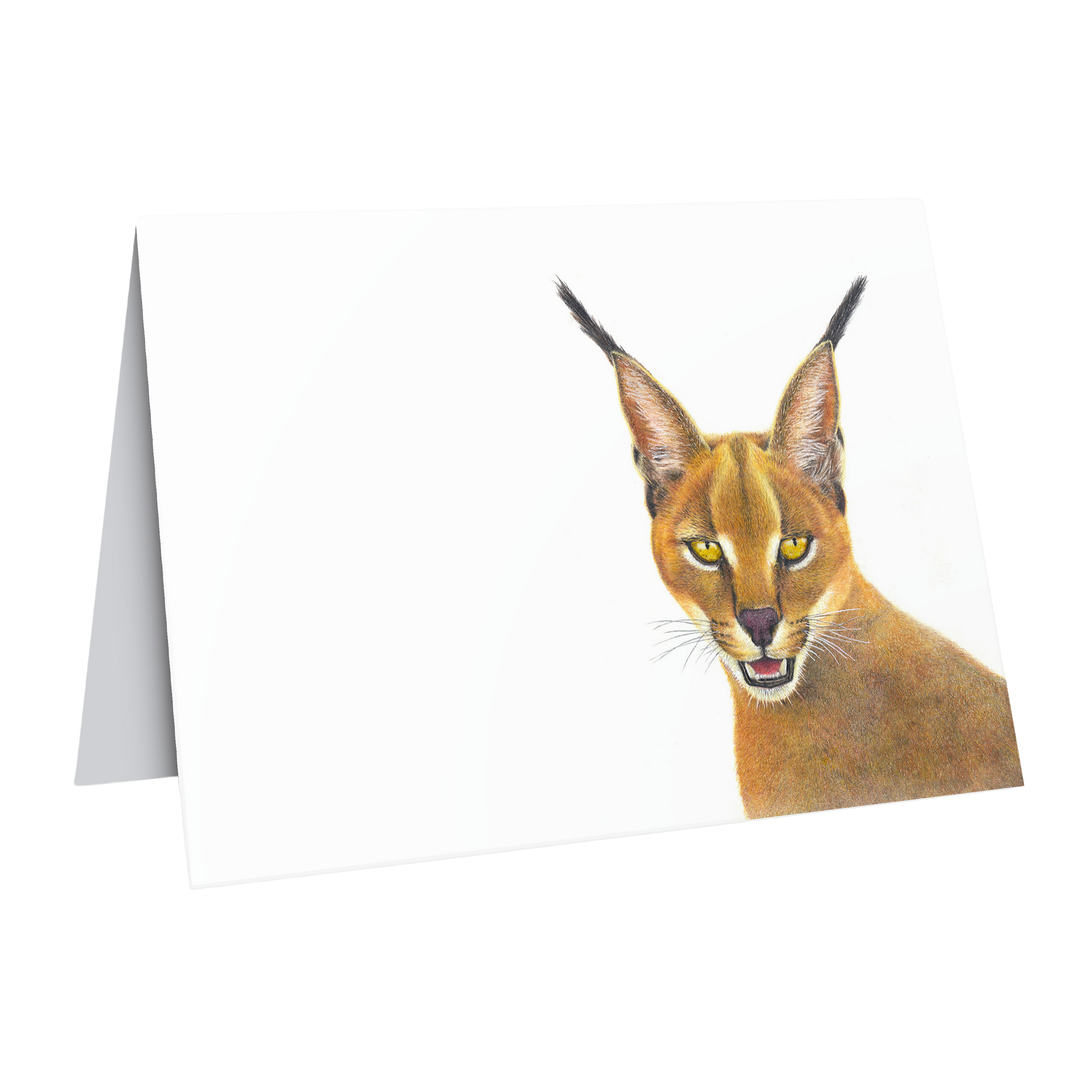 Caracal greeting card