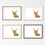 Caracal - CRC