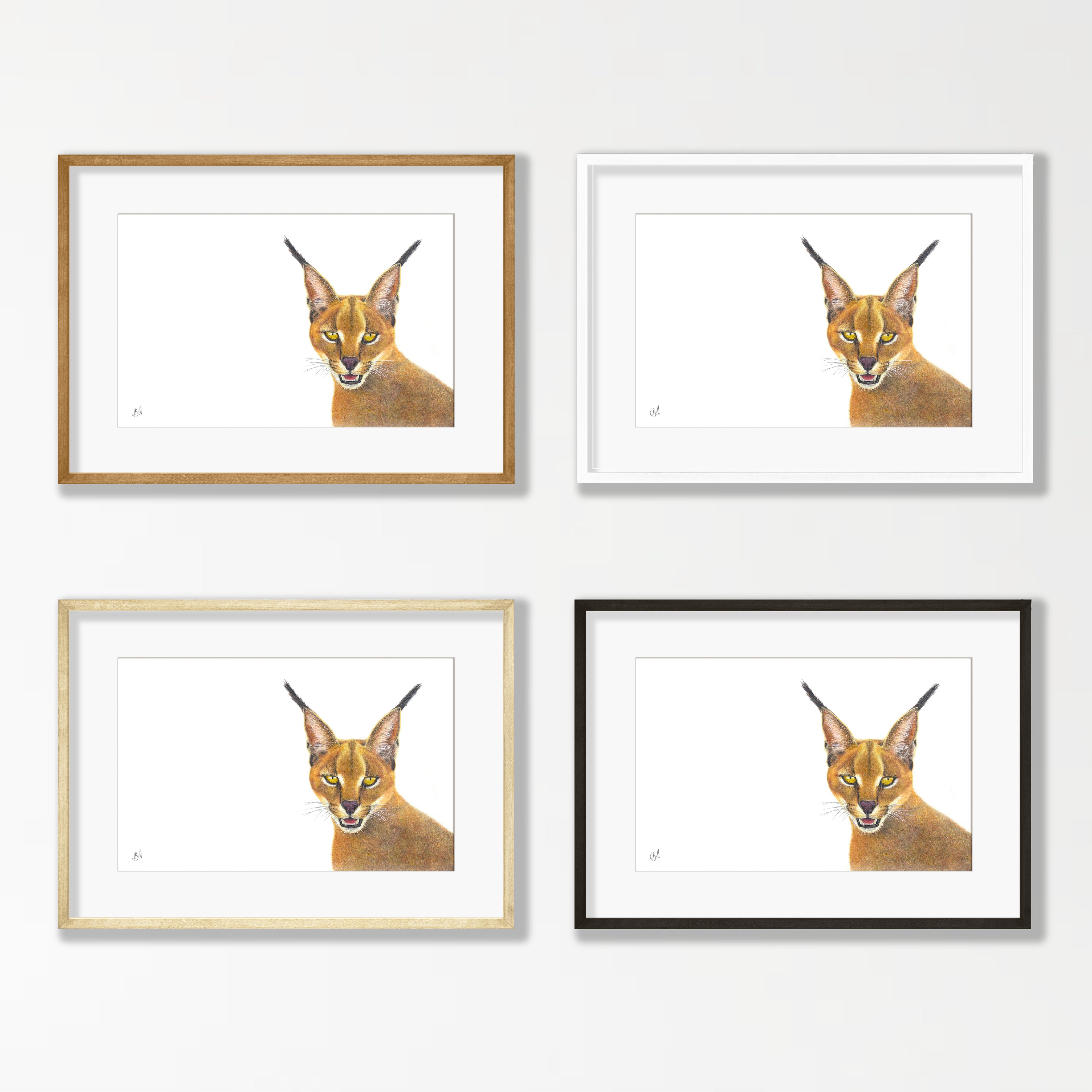 Caracal - CRC