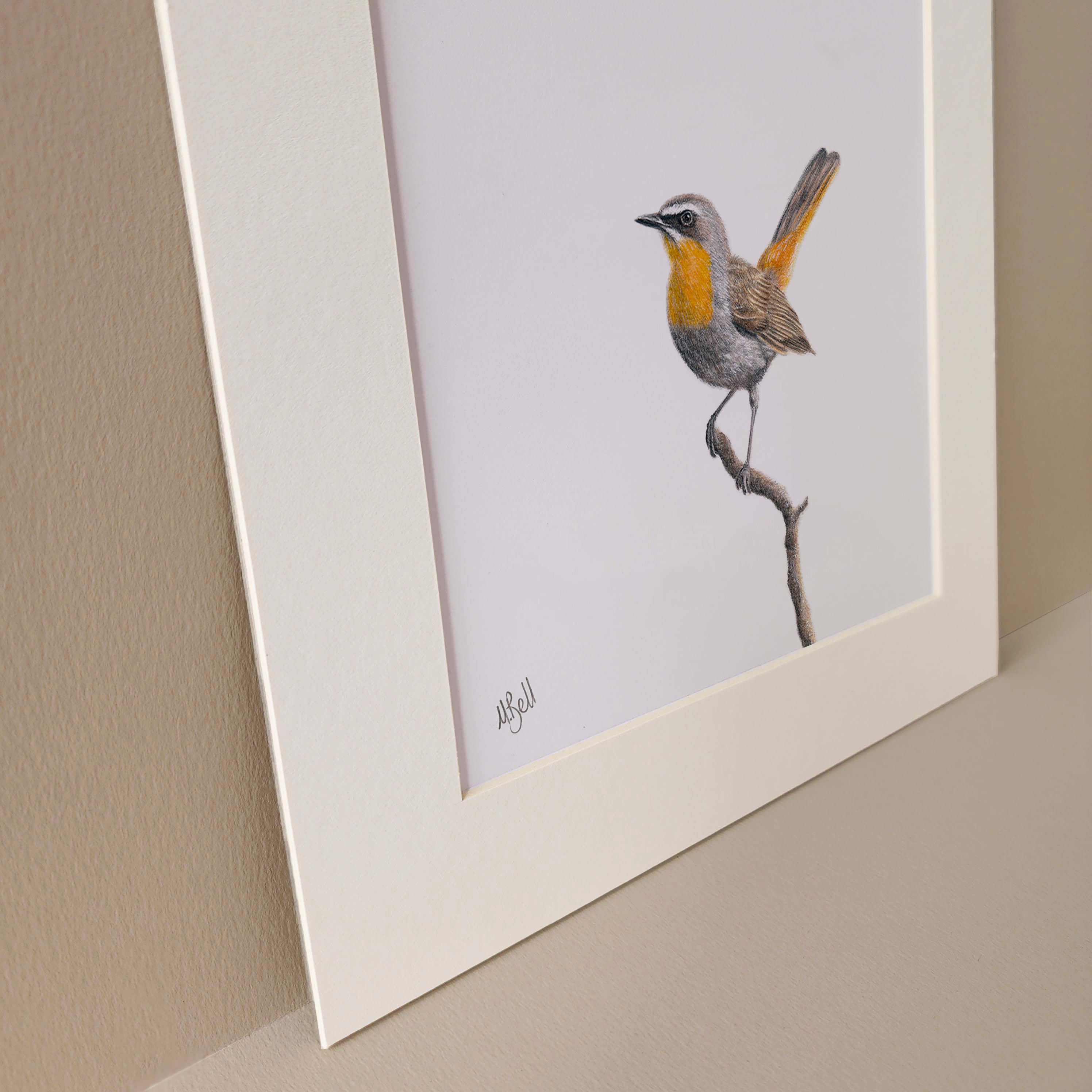 Cape Robin Chat in Mpumalanga bird artwork