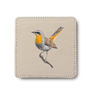 Cape Robin Chat Bird leather coaster by South African wildlife artist Matthew Bell