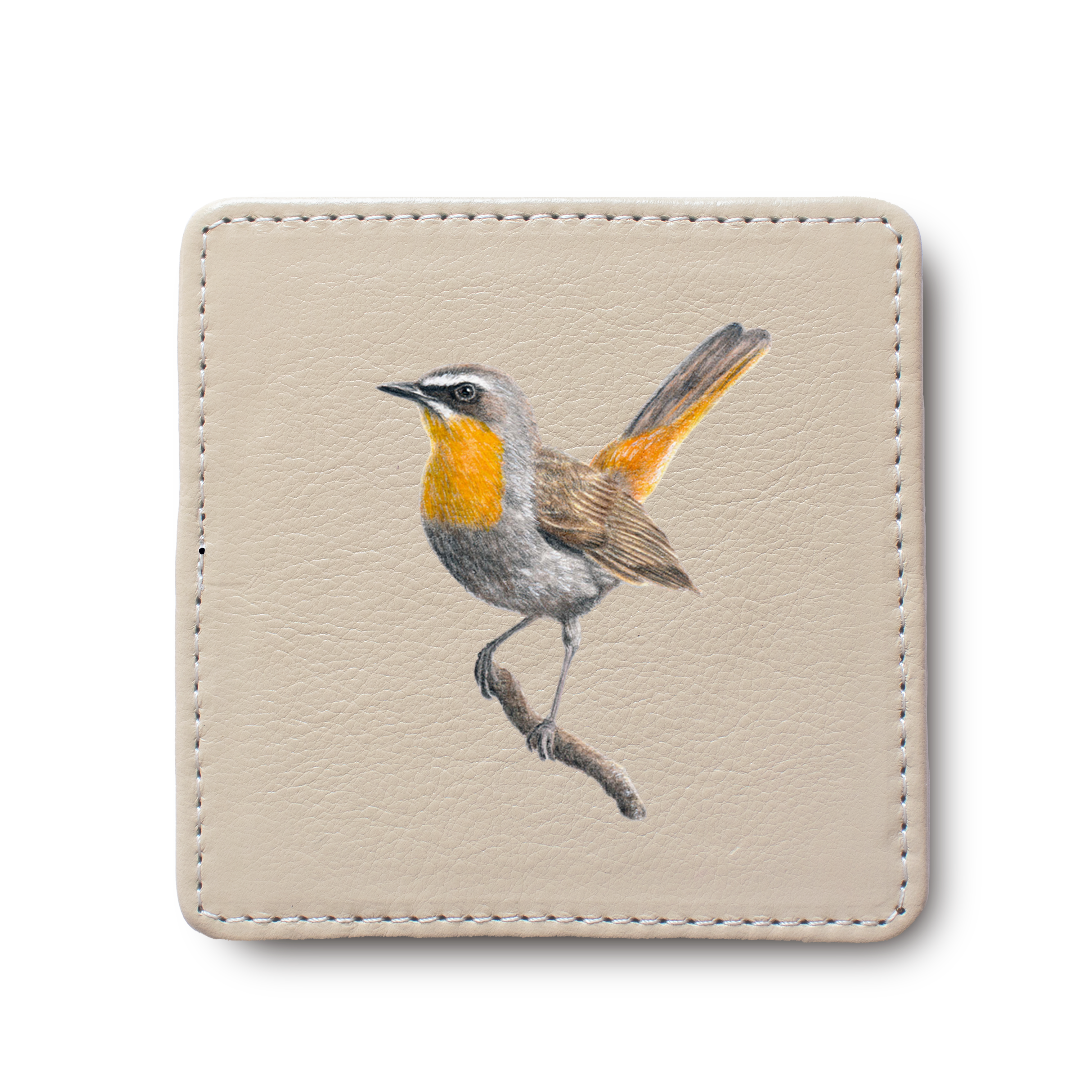 Cape Robin Chat Bird leather coaster by South African wildlife artist Matthew Bell