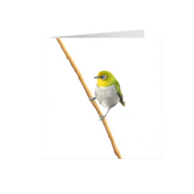 Cape White Eye Greeting Card - CWE