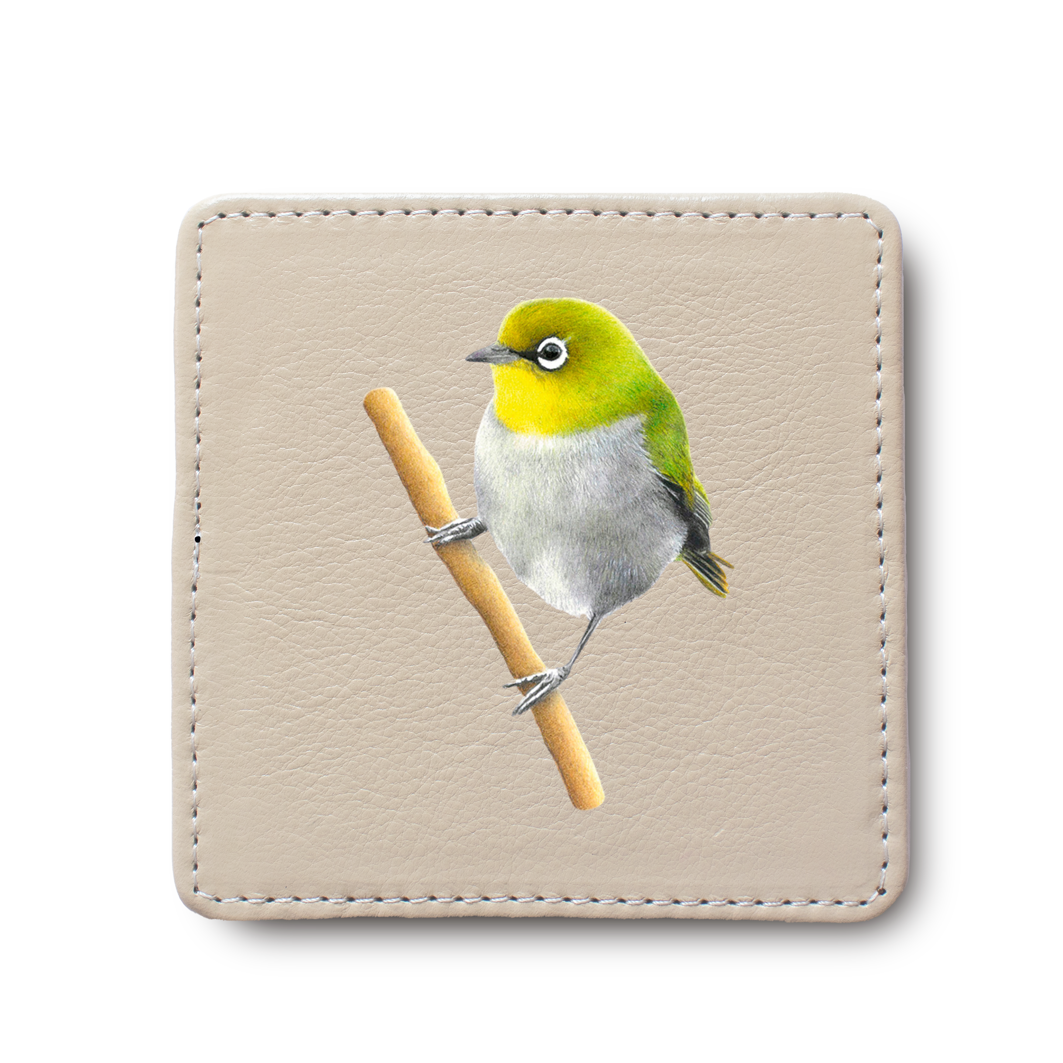 Cape White Eye leather coaster by South African wildlife artist Matthew Bell