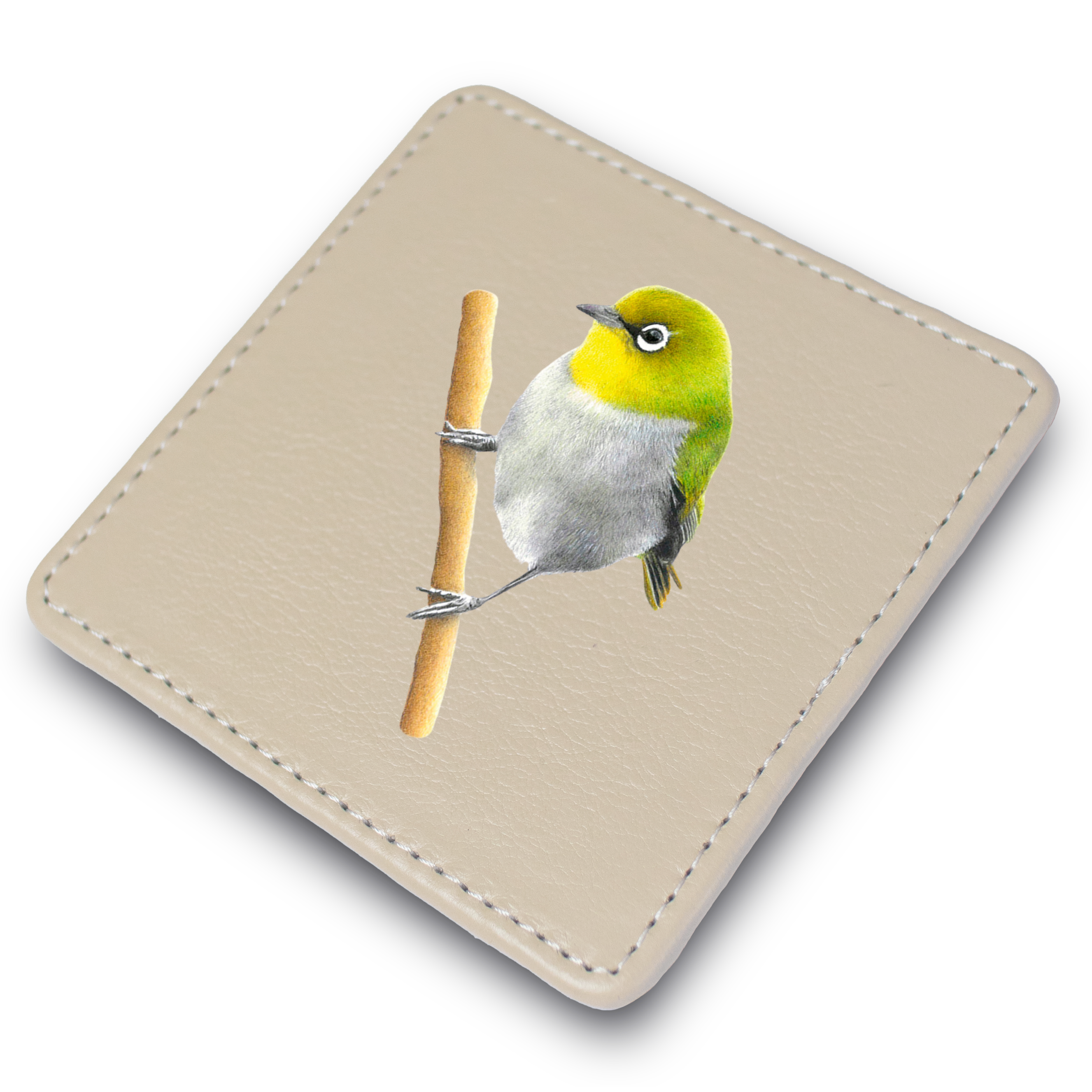CWE_2.png