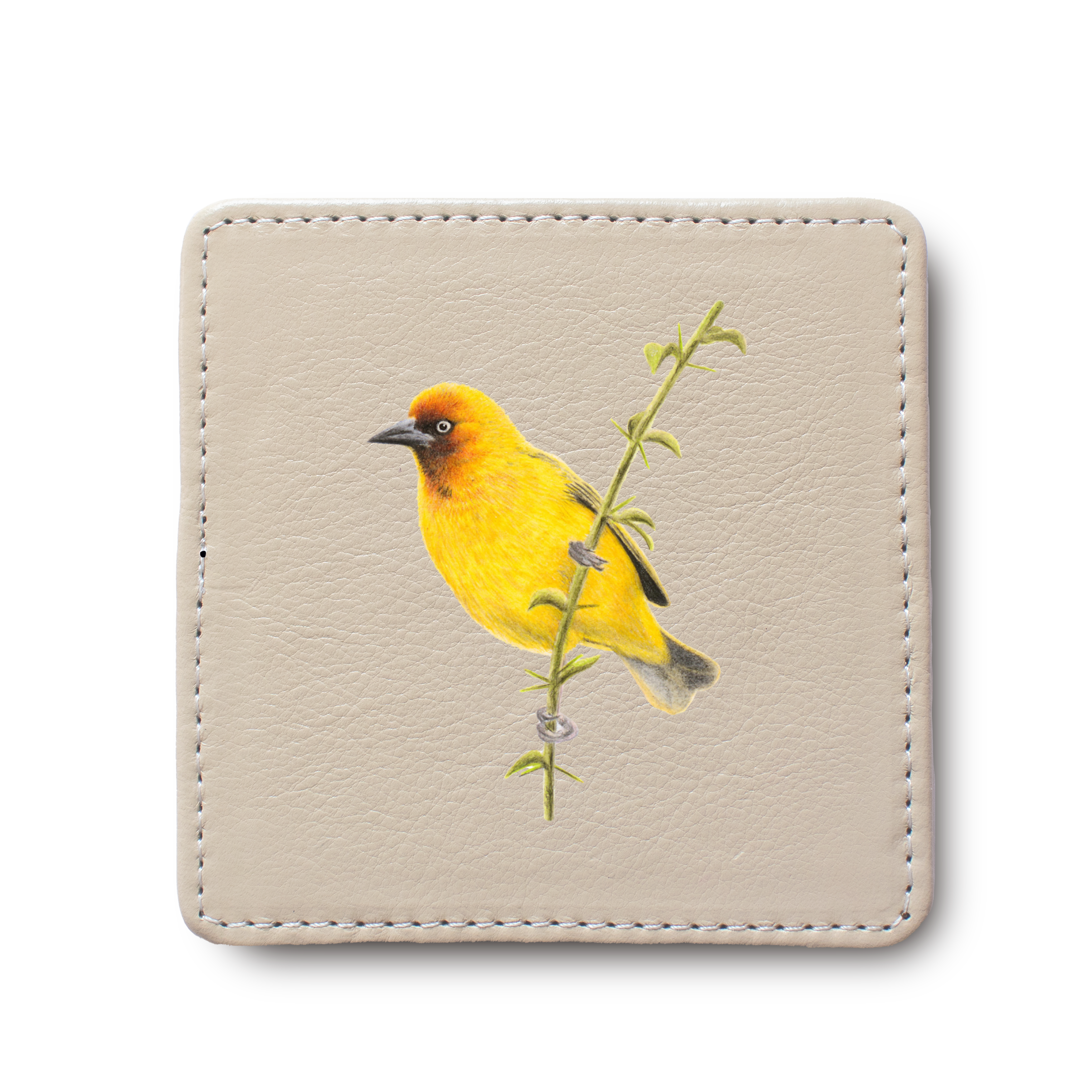Cape Weaver leather coaster by South African wildlife artist Matthew Bell