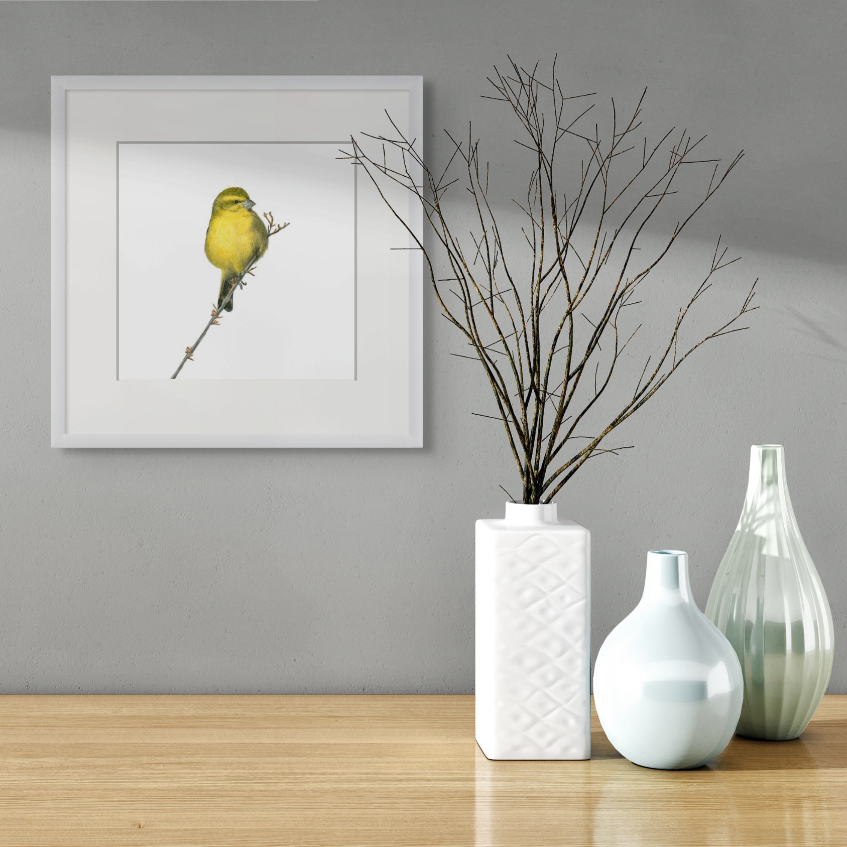 Cape Canary South African bird artwork with white background