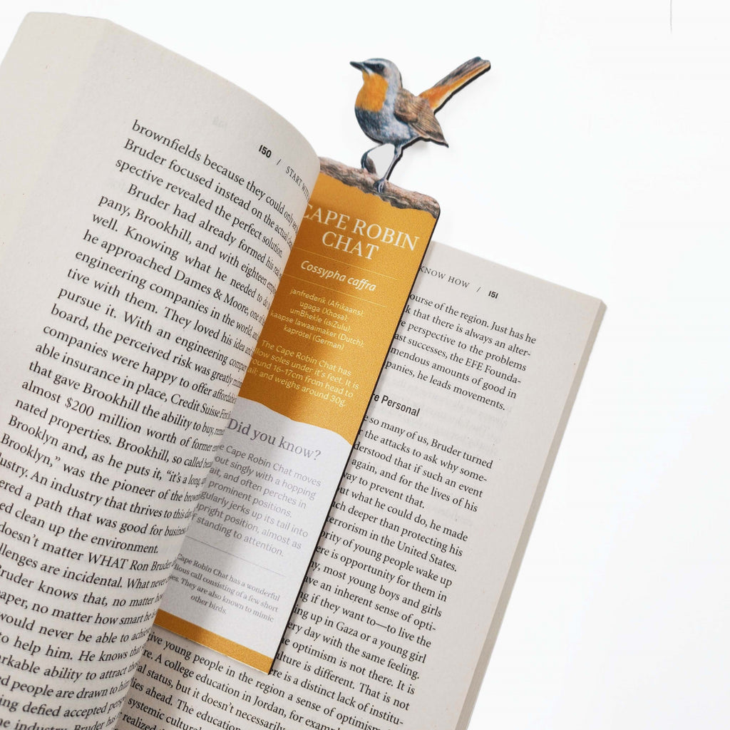 South African birds premium quality gift wooden wildlife bookmark, Cape Robin Chat