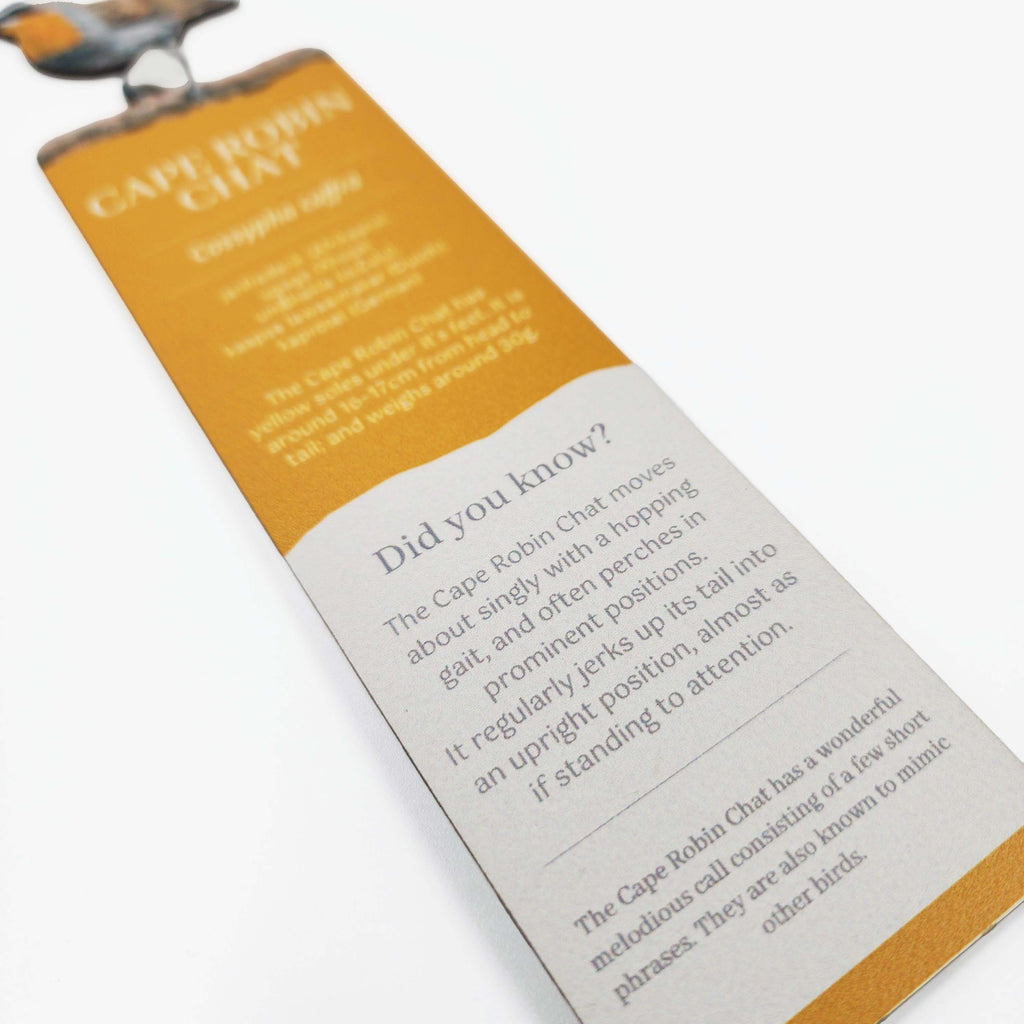 South African birds premium quality gift wooden wildlife bookmark, Cape Robin Chat