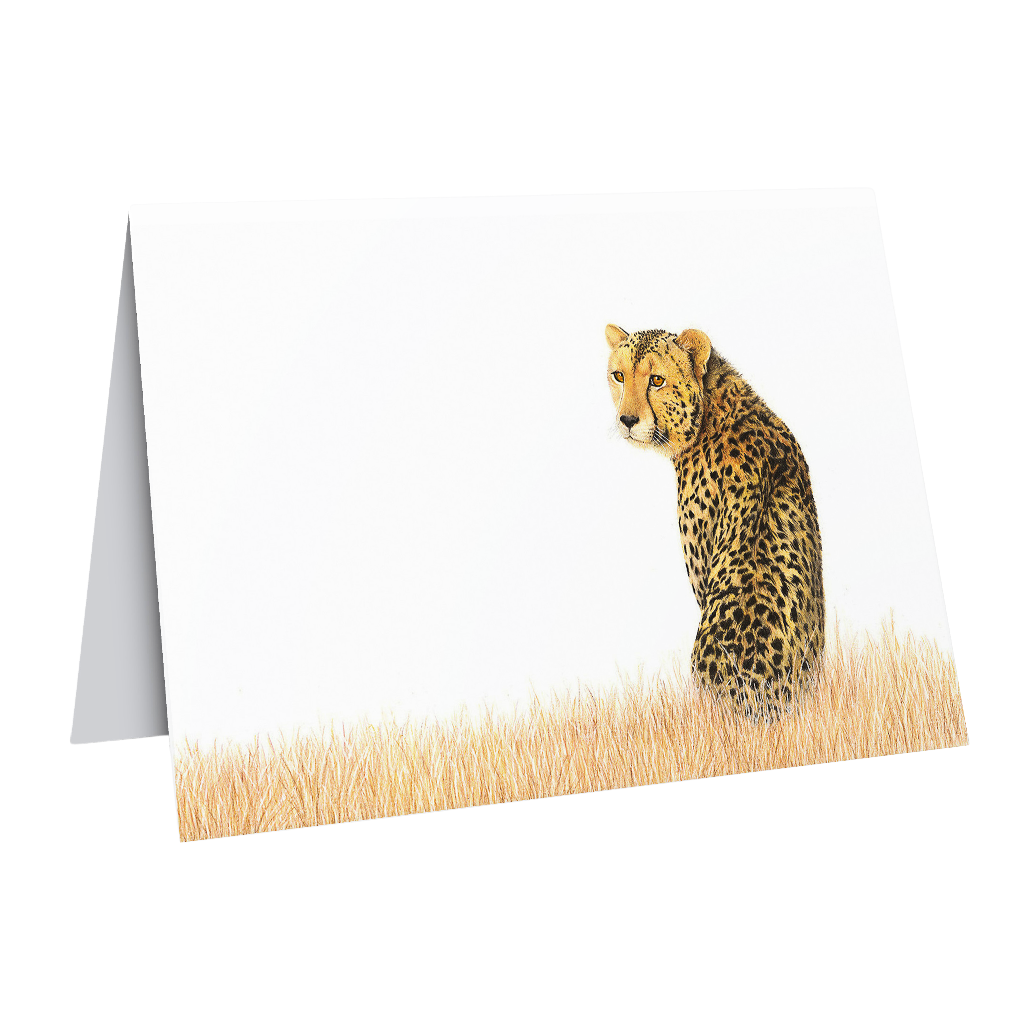 gift card featuring a cheetah