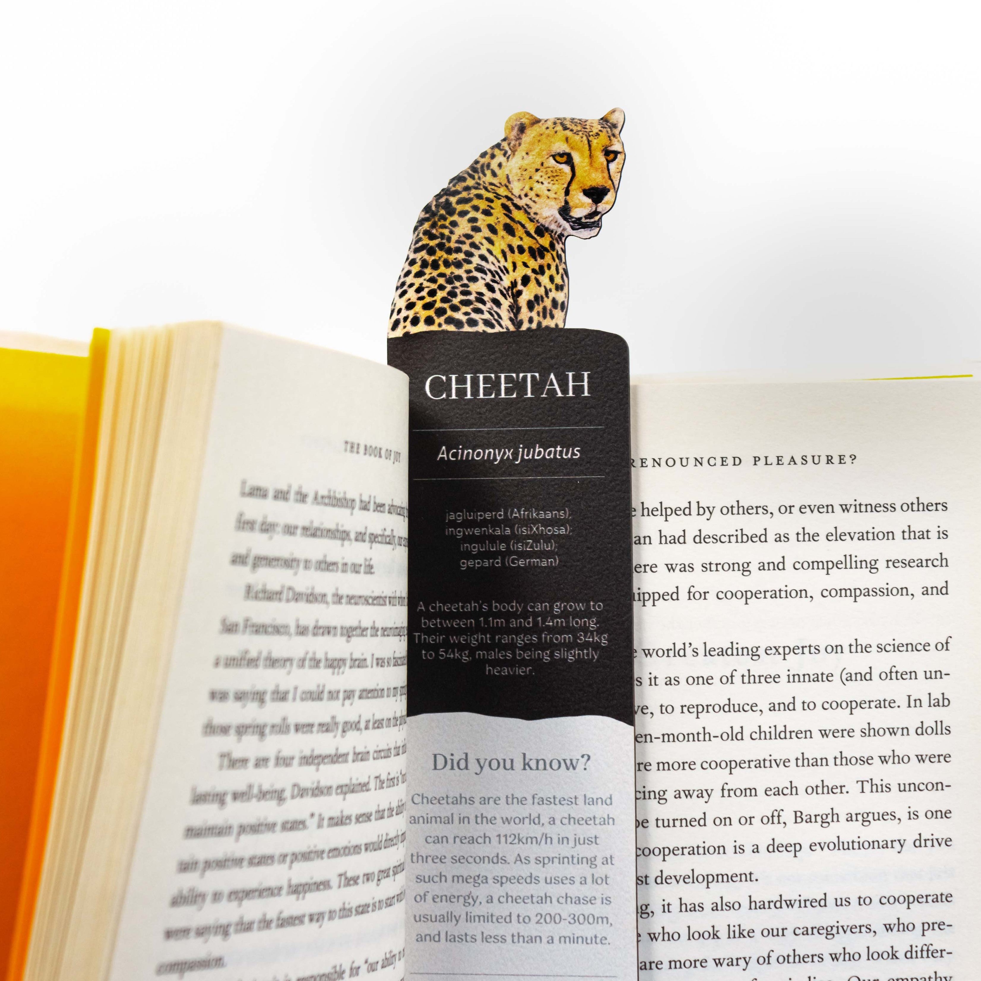 Cheetah Wooden Bookmark