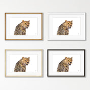 Cheetah Portrait - CHT1