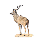 Kudu Magnet - KD2