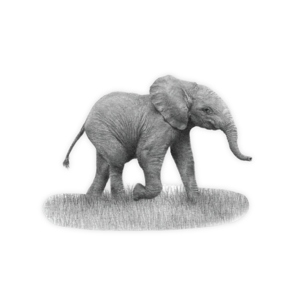 Elephant Baby Magnet - E14