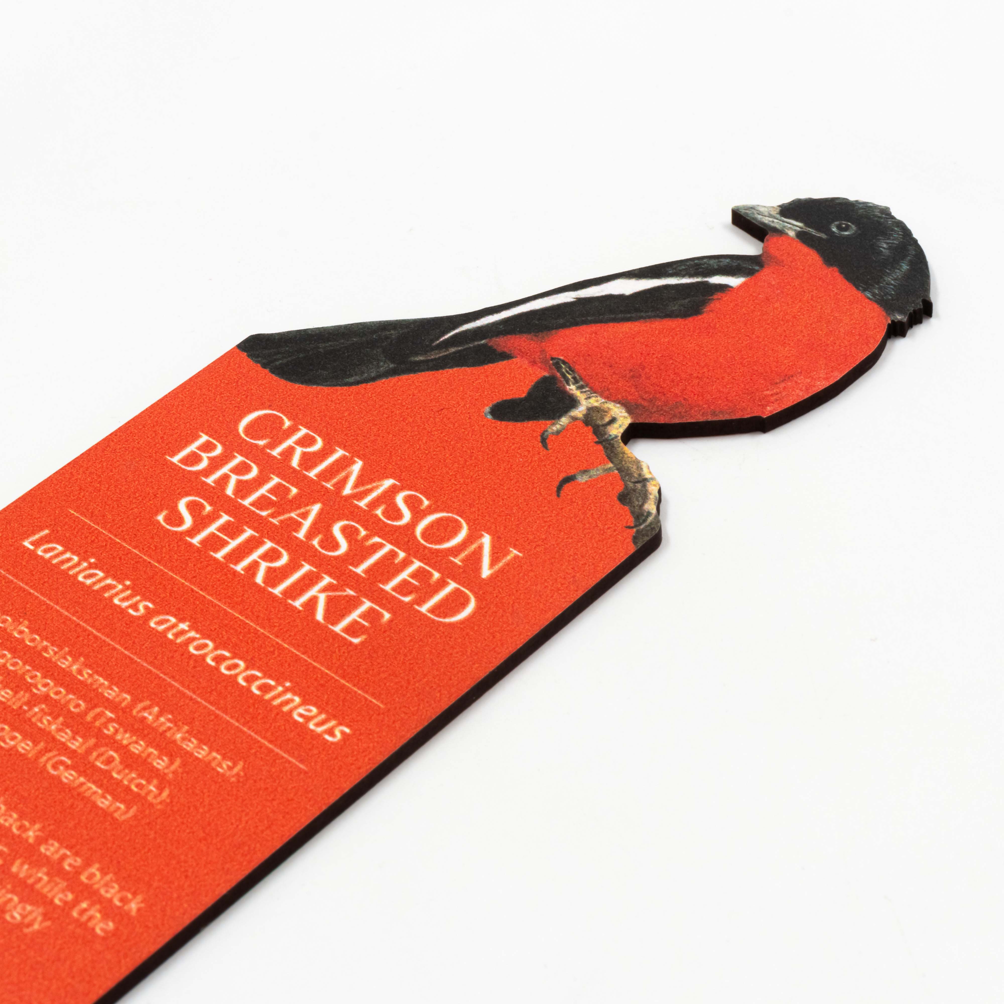 Crimson Breasted Shrike Wooden Bookmark