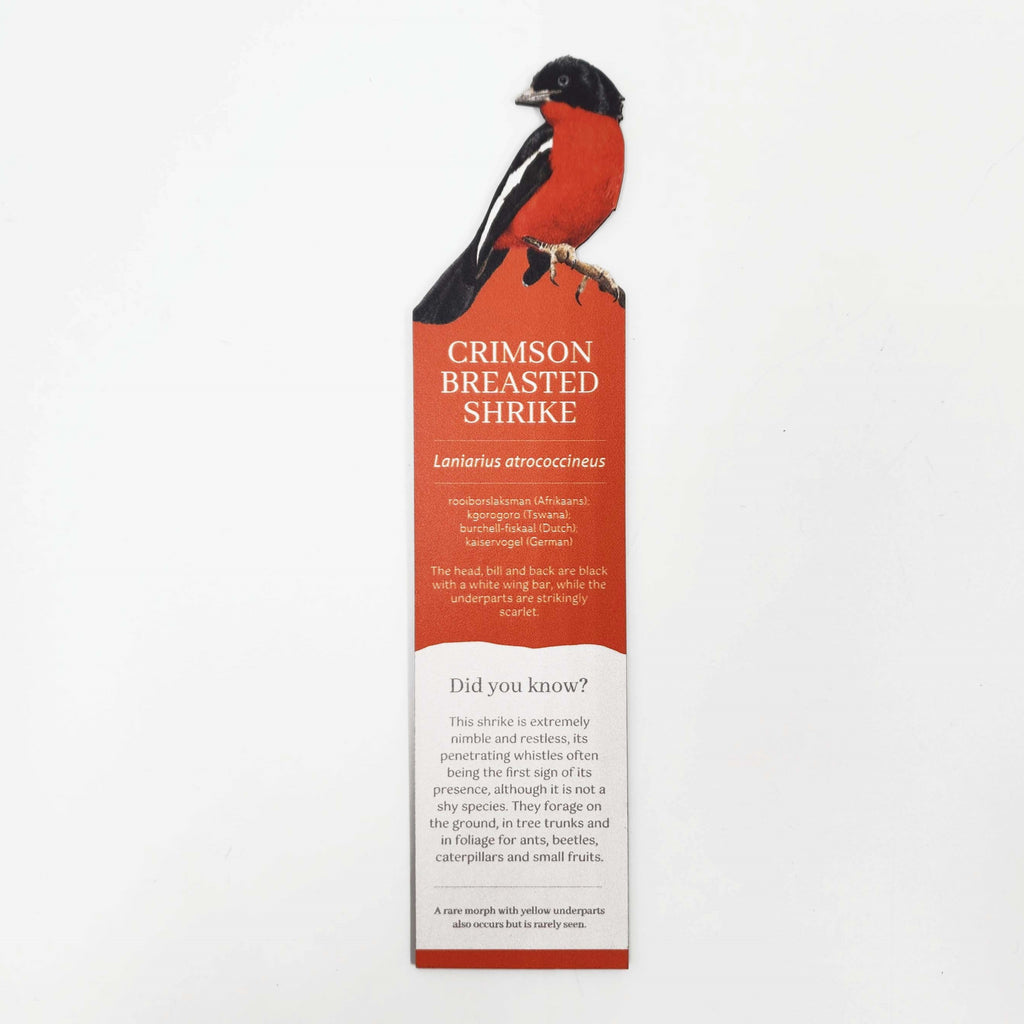 South African birds premium quality wooden bookmark