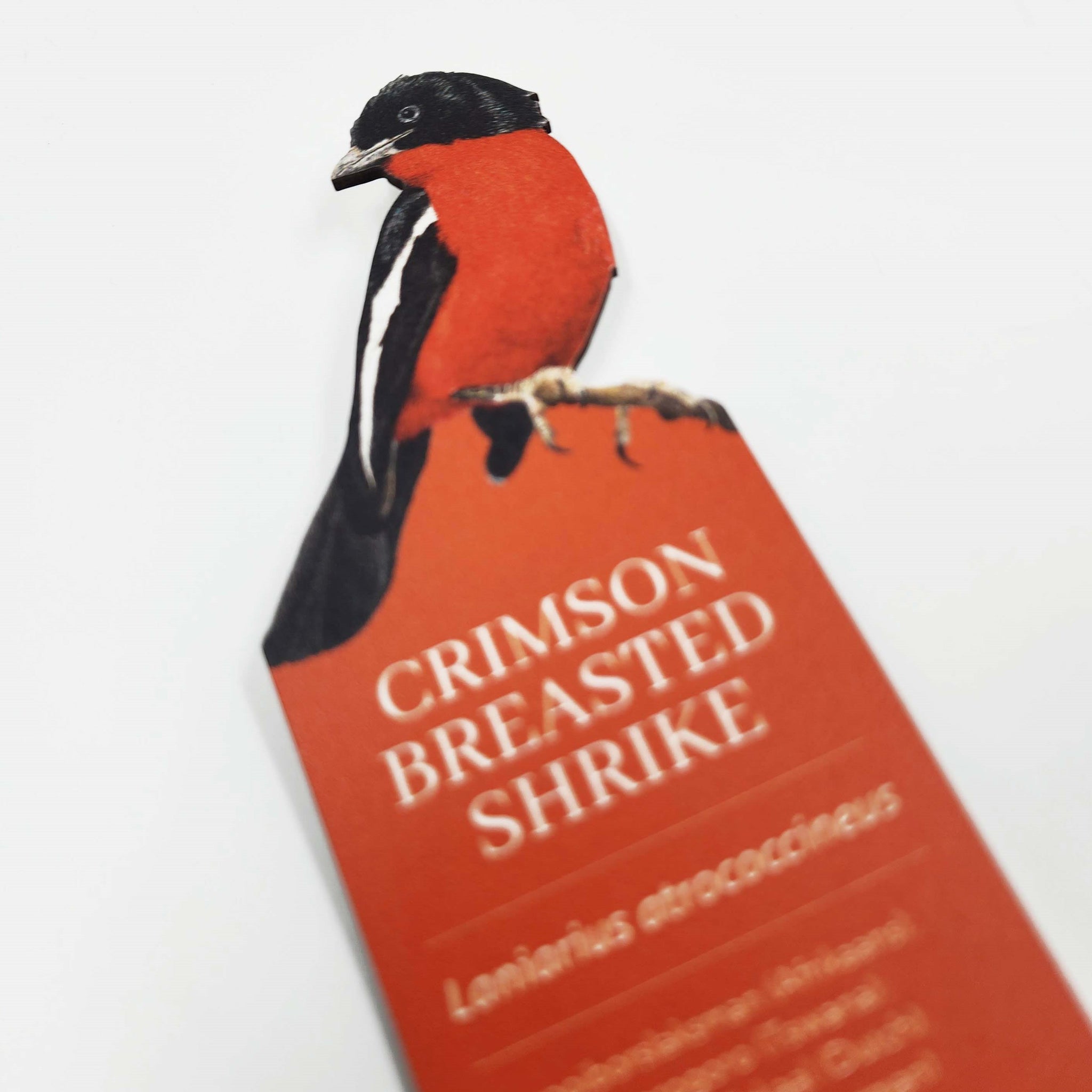 Premium quality South African birds wooden bookmark