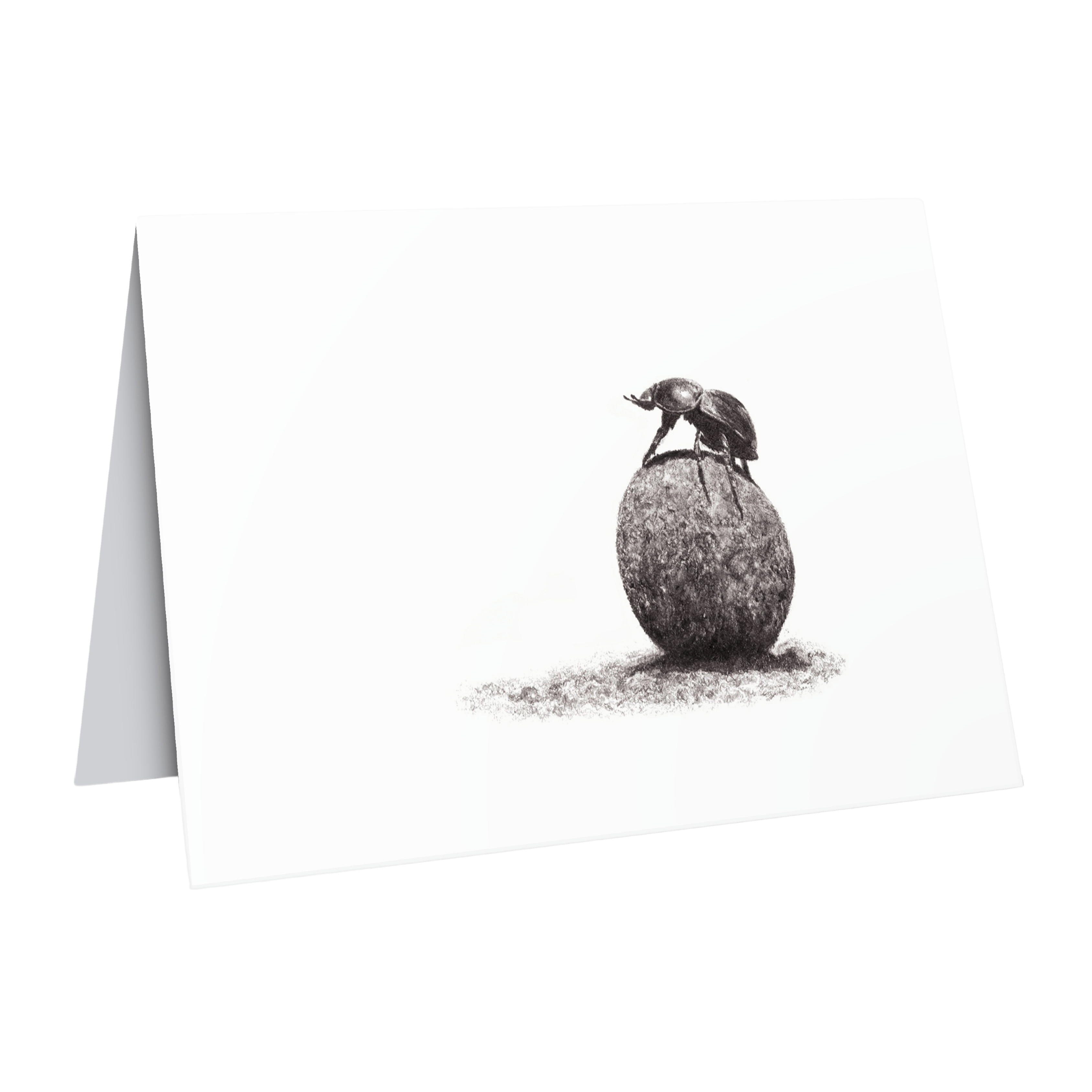 Dung beetle greeting card